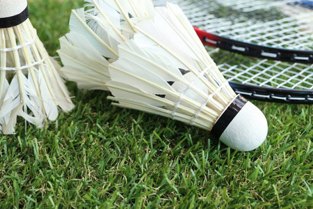 青训教练刘 青训教练刘