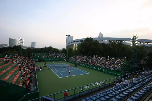 他们选择在 他们选择在